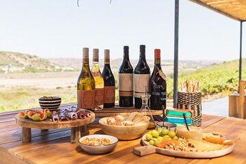 Private Boat to Vineyard with Wine Tasting
