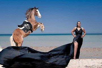 Horse Riding Tour 2 Hours Sea & Desert With Transfer - Hurghada