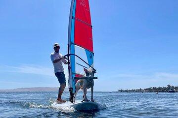 Windsurf Paracas full day