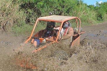 Buggy Tour Excursion in Amber Cove Port and Taino Bay