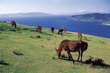 Miyazaki Private Tour by Car
