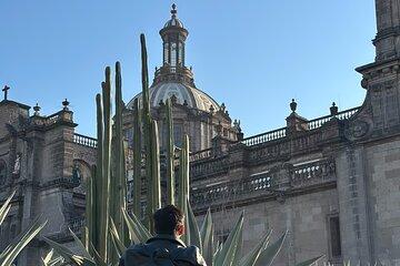 DE Mexico CD Walking Tour with Local Guide and Bilingual