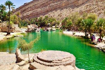 Shared Trip to Wahiba Sands & Wadi Bani Khalid Tour