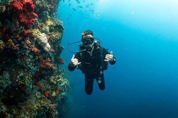 PADI Open Water Diving Course with Transfer - Marsa Alam