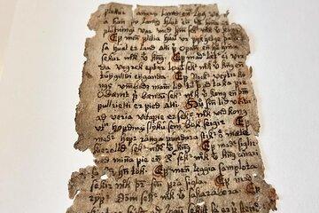 Old Icelandic Books Experience