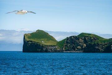 Vestmannaeyjar Private Day Tour Puffins and Hidden Gems