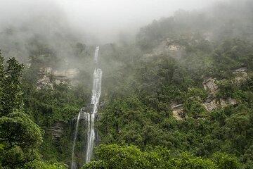 Private Tour to La Chorrera Waterfall