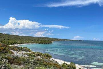 3 Hours Sea and Wildlife Paddleboard Adventure