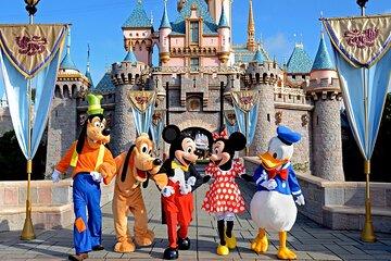 Private Disney Area Hotels To or From LAX Airport Transfer