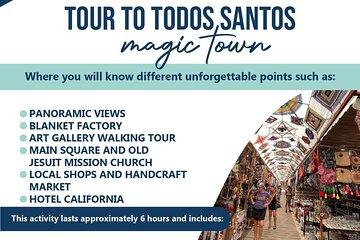 todos santos tour