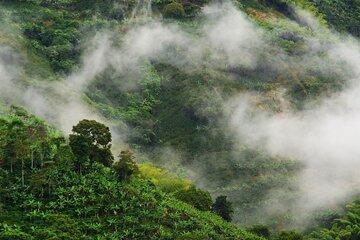 Hiking Day at Chicaque Natural Reserve