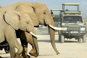 5 Days Luxury Safari Tour with 4 Nights Accommodation in Kenya