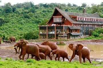 2 Day Aberdares National Park Private Safari