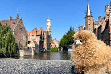 Bruges and Ghent Small Group Tour from Paris with Tastings