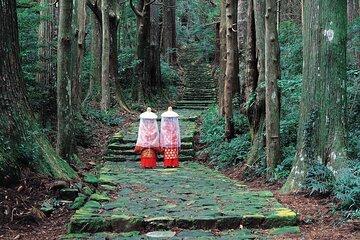 Kumano Kodo 2 Day Tour from Osaka