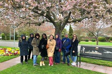 Bristol City Walking Tour with Local Guide