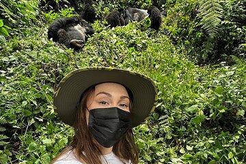 Explore Kigali's Gorilla Trek on a Private 4WD Tour