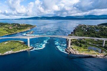 Saltstraumen Arctic Adventure and Scenic Journey