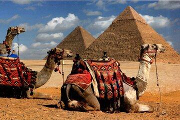 Private Tour Giza Pyramids, Grand Egyptian Museum and Sakkara
