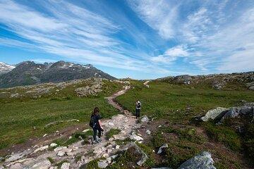 Express Summer Day Hike in Tromso