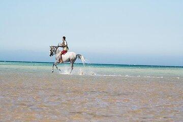 2 Hours Horse Riding Adventure in The Sea and Desert