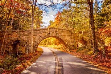 MDI Discovery Private Tour Explore Beyond Acadia National Park