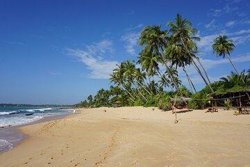 Private Full Day Excursion to Bentota and Galle