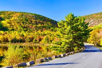 “Private Acadia” & Mount Desert Island Tour (full day, six hours)