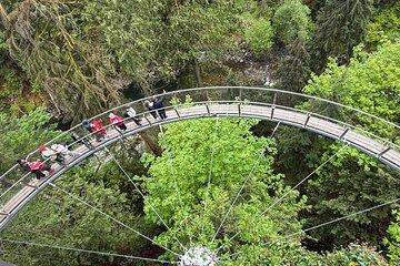 Capilano Br+Grouse Mtn+Dam+Lake+Hatchery/5in1CarTour+Small Group