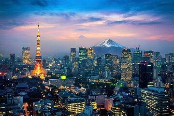Tokyo Luxury Tour by Private Car with English-Speaking Driver