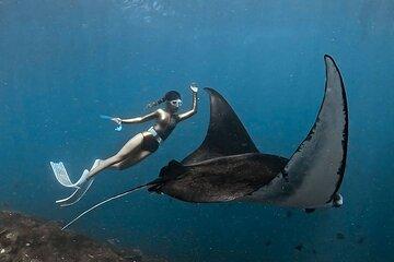Manta Point Snorkeling and Nusa Penida West Coast Tour