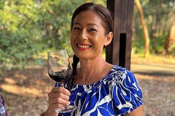 Sydney Hunter Valley Boutique 4WD Tour with Lunch and Sunset