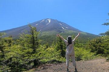 Mt. Fuji Private Tour w/ local English speaking guide & activity