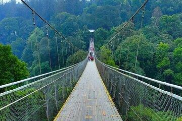 Day Tour Discovery at the Beauty of Situ Gunung