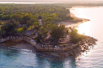 Forest Therapy Walk in East Point Reserve