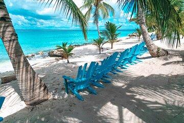 Punta Cana Saona Island Half Day Eco Tour in Small Group