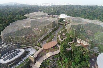 Singapore Mandai Bird Park Admission Ticket
