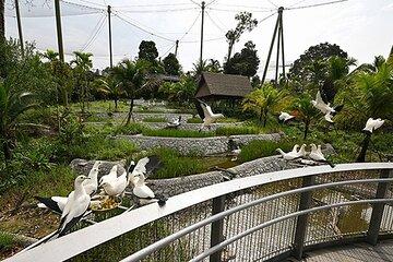 Singapore Mandai Bird Park Admission Ticket