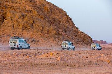 Hurghada: Quad Bike, Buggy car, Camel Ride and Bedouin Village