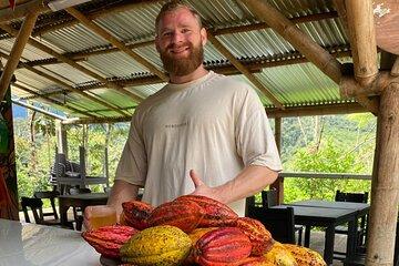 Private Chocolate Immersion Experience from Medellin