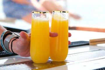 Sunday Mimosa Bar Catamaran Sail with Mini Brunch Bites