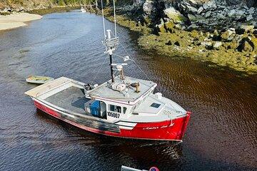 Bay of Fundy Tour by Van