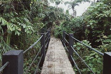 Sedim Rainforest and Canopy Walk