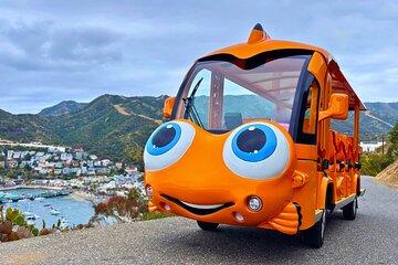 Private Guided City Tour up to 12 Passengers