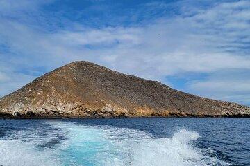 Floreana Island Snorkeling and land Tour