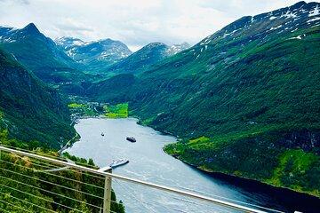 Private Full-Day Round Trip Oslo to Sognefjord and Flåm Railway