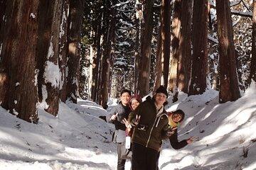 Nagano Togakushi Shrine Half Day Private Tour