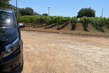 Kefalonia Private Gastronomy and Agrotourism Tour