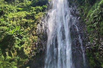Materuni Falls and Chemka Springs Natures Best in One Day