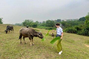 From Hanoi: Explore Hidden Gems of Duong Lam with Small Group